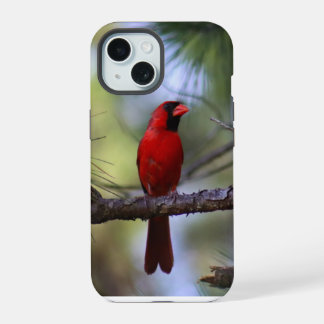 Handyhülle mit Kardinal iPhone 15 Hülle