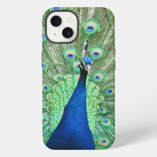 Handyhülle - Stolzer Pfau iPhone 13 Hülle