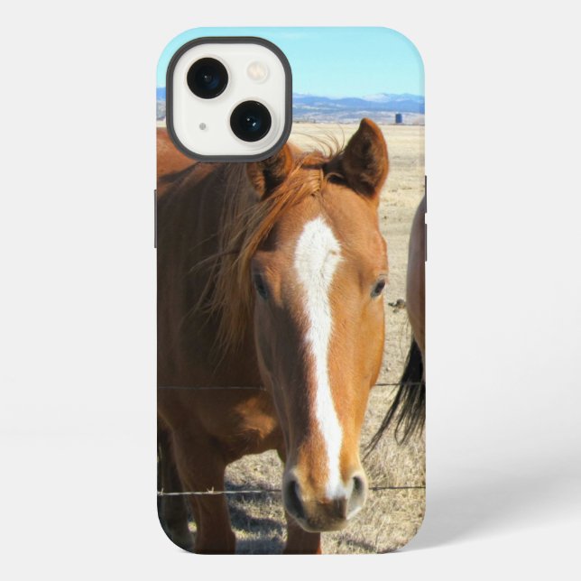 Handyhüllen mit Pferd iPhone Hülle (Rückseite)