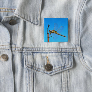 Hang auf die künstlerische Libelle gegen Cerulean Button