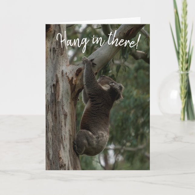 Hang da rein! Koala Australia Card Karte (Vorderseite)