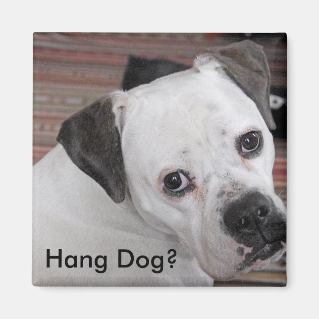 Hang Dog? Magnet (Vorne)