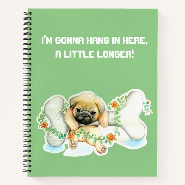 Hang in Here SpiralNotebook Notizbuch (Vorderseite)