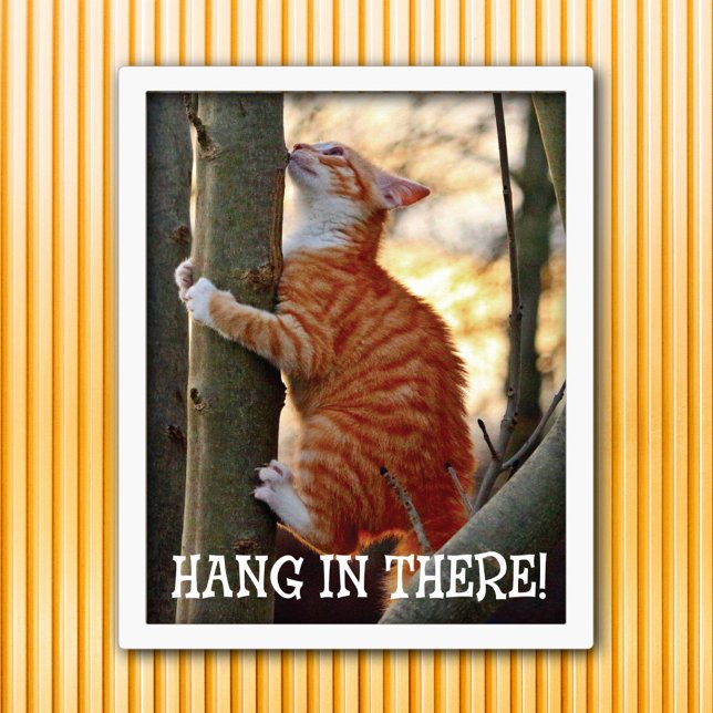 Hang in There Cat Poster (Von Creator hochgeladen)