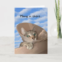 Hang in There Chat in Cone Funny werden gut