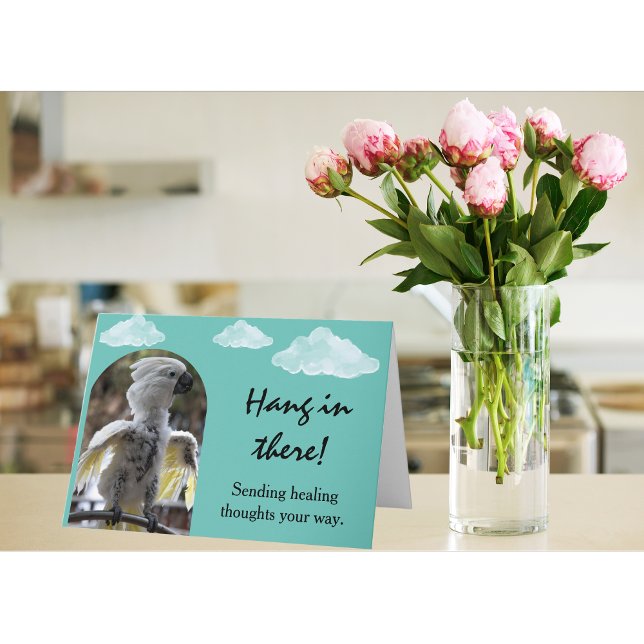 Hang in There Feathership Friend werden gut Karte (Von Creator hochgeladen)