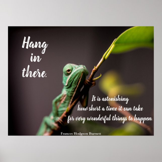 'Hang in There' Frances Hodgson Burnett, Chameleon Poster (Vorne)