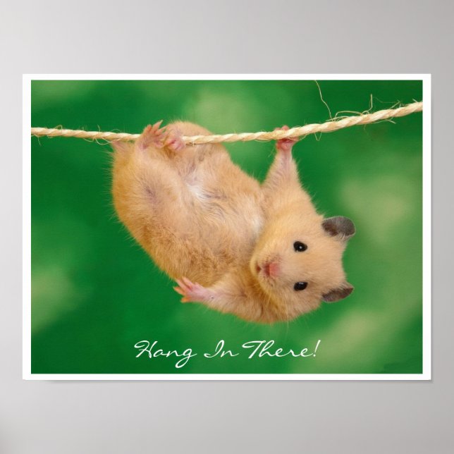 Hang in There Hamster Poster (Vorne)
