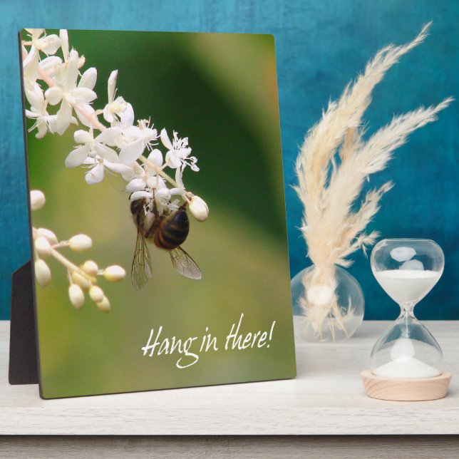 "Hang in There" Motivierend Plaque Fotoplatte (Seite)