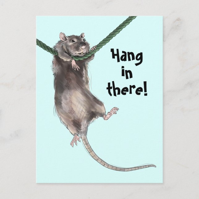 Hang in There Rat Blue Background Postkarte (Vorderseite)