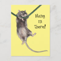 Hang in There Rat