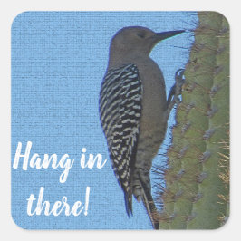 Hang in There Woodpecker Foto Saguaro Cactus Quadratischer Aufkleber