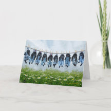 Hang in's Puppy Grußkarte