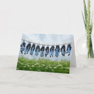 Hang in's Puppy Grußkarte Karte