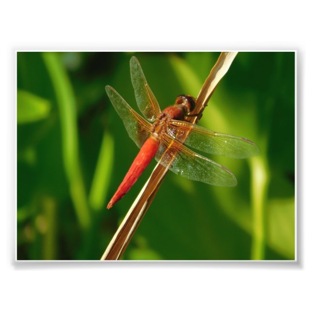 Hang On Fotodruck (Vorne)