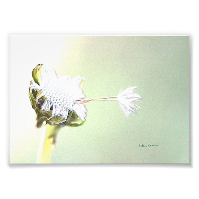 Hang On - Imitate mit Embossed Fotodruck (Vorne)