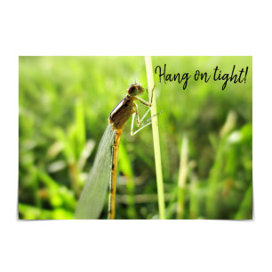 "Hang on Tight" Funny Dragonfly Encouragement Card Karte