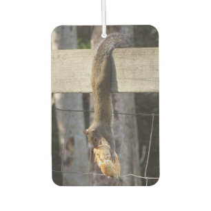 Hänge in There Baby - Eichhörnchen - Air Freshener Autolufterfrischer