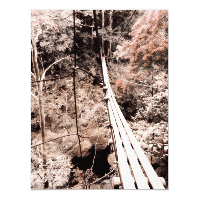 Hängebrücke Fotodruck (Vorne)