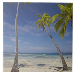 Hängematte und Palmen, Plantation Island Resort Fliese