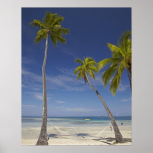 Hängematte und Palmen, Plantation Island Resort Poster