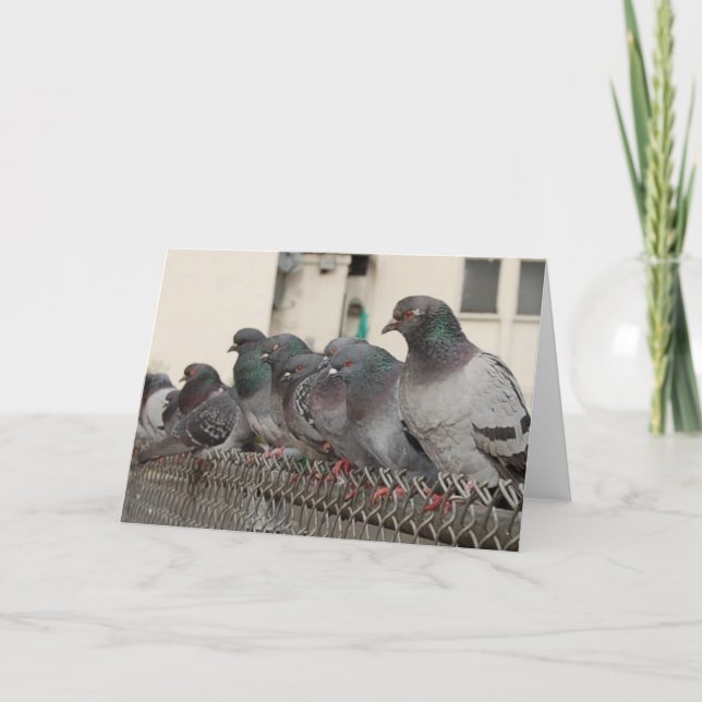 Hängen mit den Jungen Karte (Vorderseite)