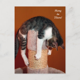 Hängen Sie dort humorvolle Tabby Post Card Postkarte