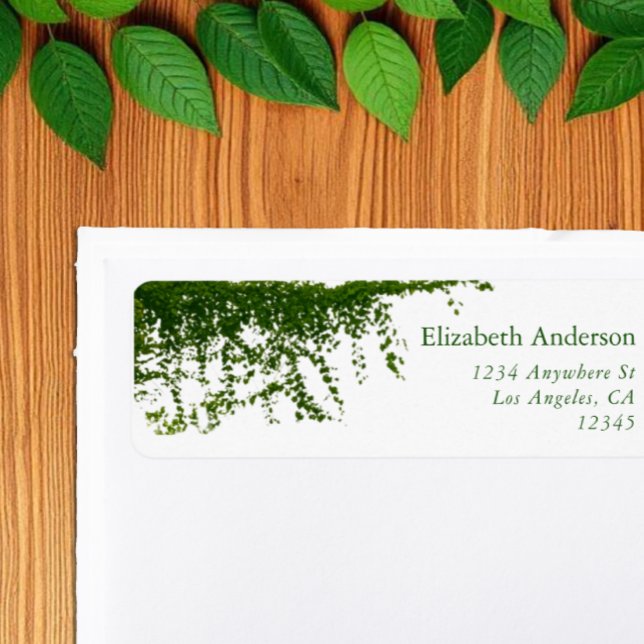 Hängende Efeu-Grün-Hochzeit (Von Creator hochgeladen)