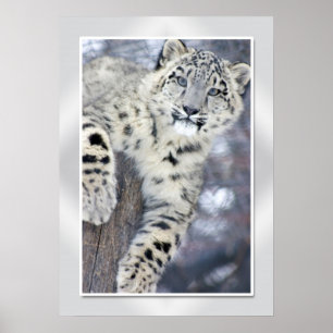 Hangin' Around....(w/border) Poster