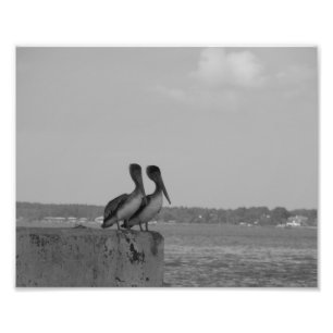 Hang'in heraus fotodruck