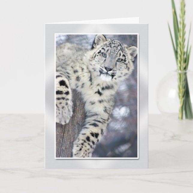 Hangin um….(w/border) karte (Vorderseite)