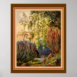 "Hanging Bamboo of Sri Lanka" von Haeckel ca. 1882 Poster