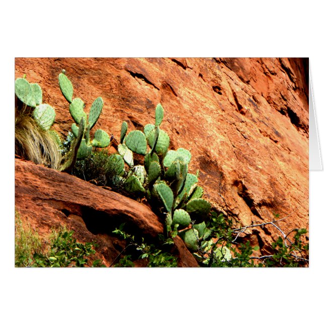 Hanging Cactus Garden Zion National Park UT Blank (Vorderseite (Horizontal))