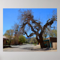 Hanging Tree, Cerrillos, New Mexico