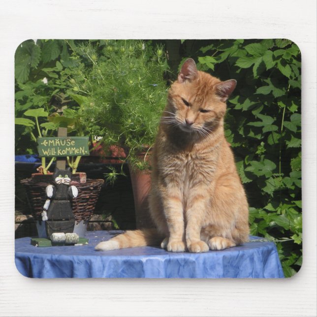 Hangover, Katzen, Tiere Mousepad (Vorne)
