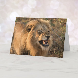 Hangry Lion: Mittagessen individuell gestalten Karte
