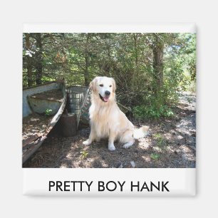 Hank 8 10 2008 014.1, HÜBSCHER BOY-HANK Magnet