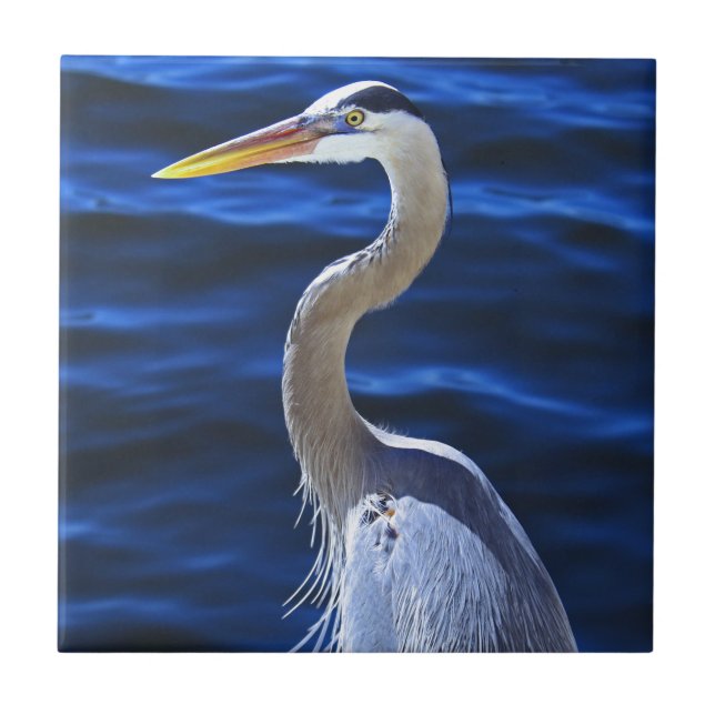 Hank der Reiher Fliese (Vorderseite)