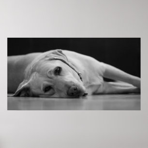 Hank 'ONE' Leinwand Poster