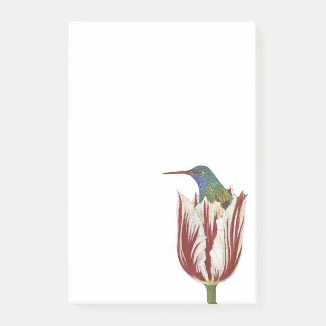 Hans der Kolibri in einer Tulpe Post-it-Notizblock Post-it Klebezettel (Vorderseite)