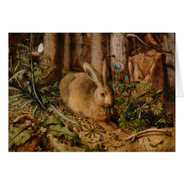 Hans Hoffmann ein Hase im Wald (Vorderseite (Horizontal))