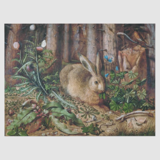 Hans Hoffmann | Ein Hase im Wald (1585) Seidenpapier (Vorderseite)