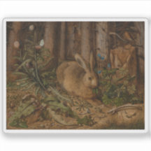 Hans Hoffmann - Ein Hase im Wald