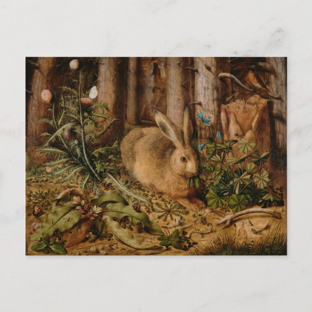 Hans Hoffmann ein Hase im Wald Postkarte (Vorderseite)