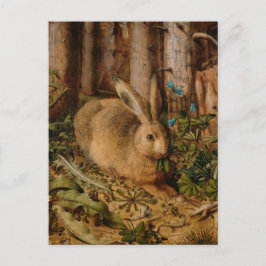 Hans Hoffmann ein Hase im Wald Postkarte