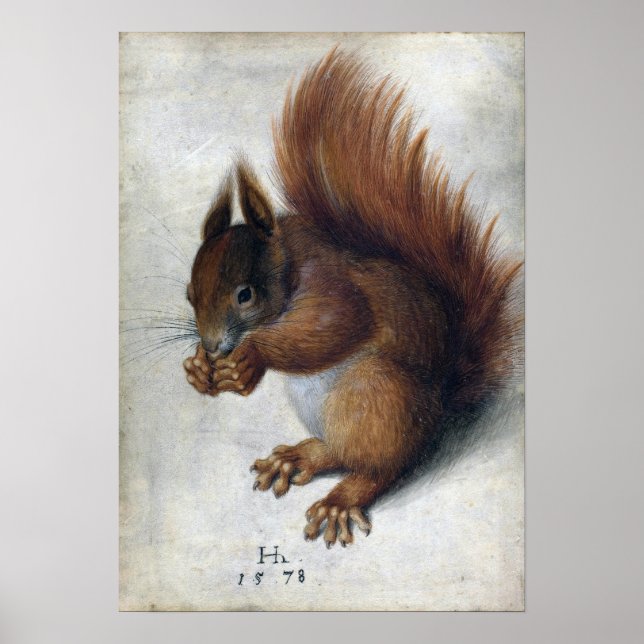 Hans Hoffmann Red Squirrel Poster (Vorne)