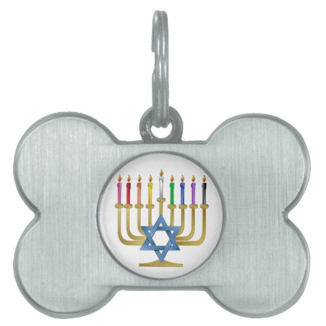 Hanukkah Rainbow Candles Gold Menorah Tiermarke (Vorderseite)