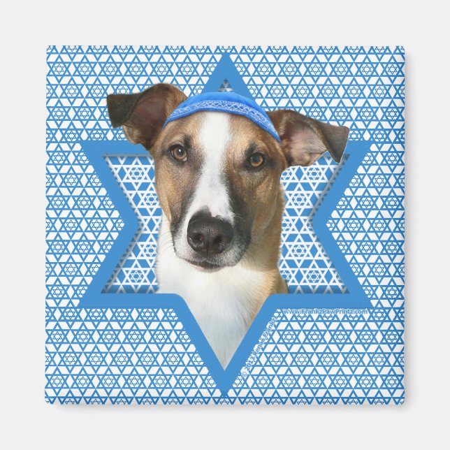 Hanukkah Star von David - Whollie - Coney Magnet (Vorne)
