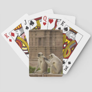 Hanuman Languren oder Schwarzgesicht-, Gewöhnliche Spielkarten
