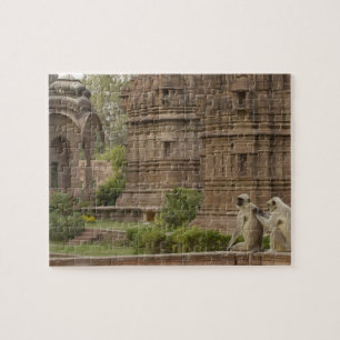 Hanuman-Langurs oder schwarz, gemein oder grau Puzzle